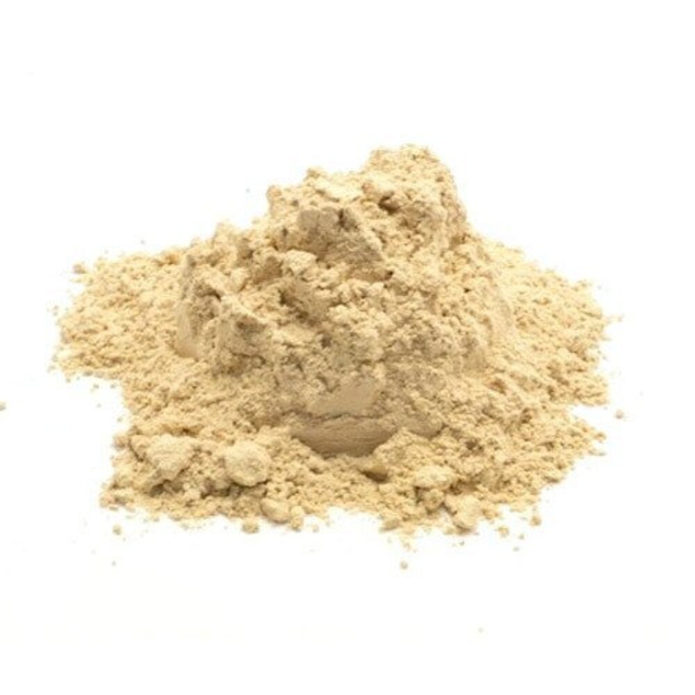 Lactobacillus Salivarius