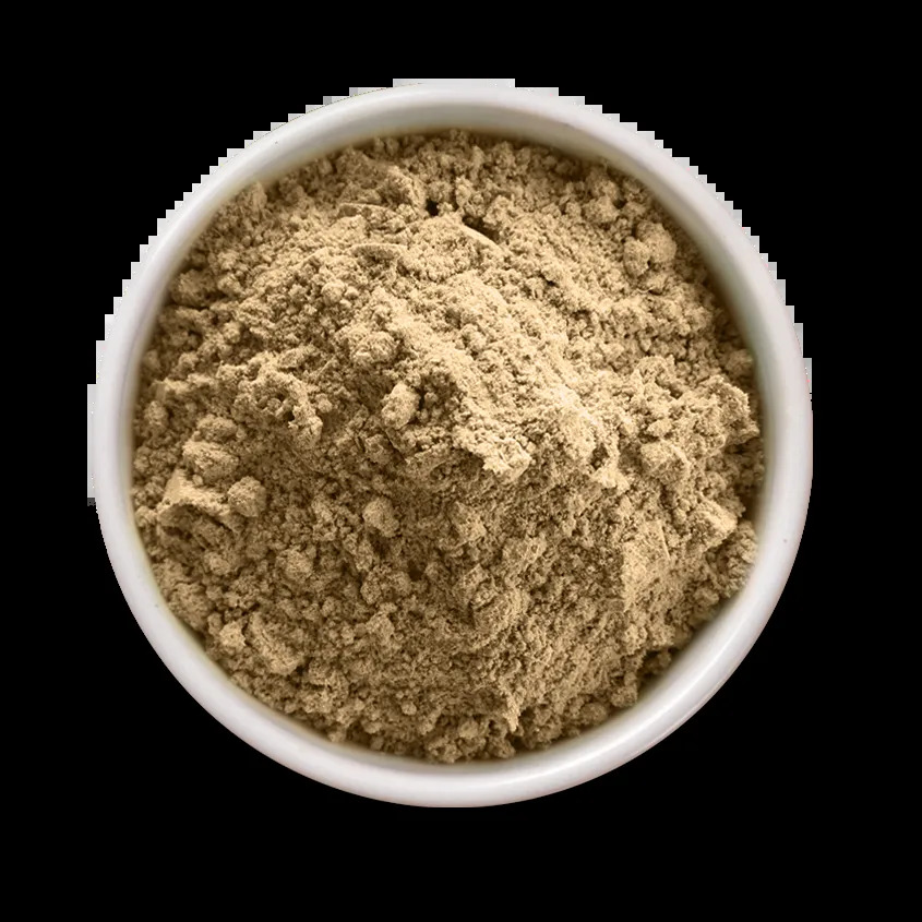 Lion's Mane Mushroom Extract